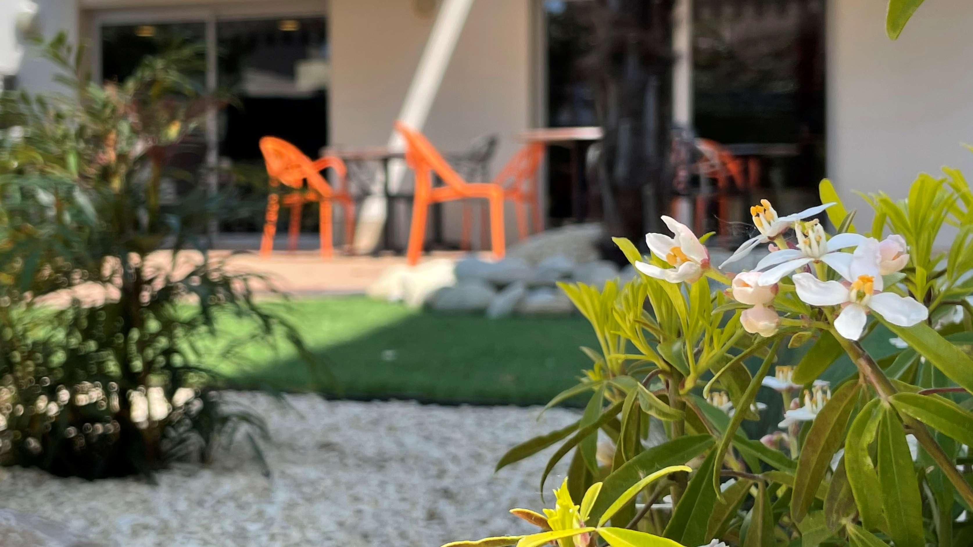 Campanile Albi Centre Otel Dış mekan fotoğraf
